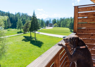 Hotel Il Falchetto | Val di Non Trentino, Regole di Sarnonico | Foto e Video