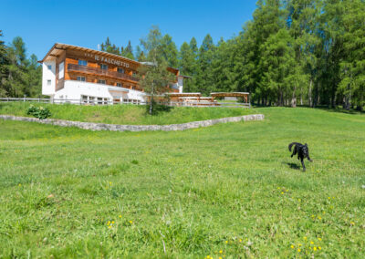 Hotel Il Falchetto | Val di Non Trentino, Regole di Sarnonico | Foto e Video