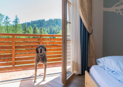 Hotel Il Falchetto | Val di Non Trentino, Regole di Sarnonico | Foto e Video