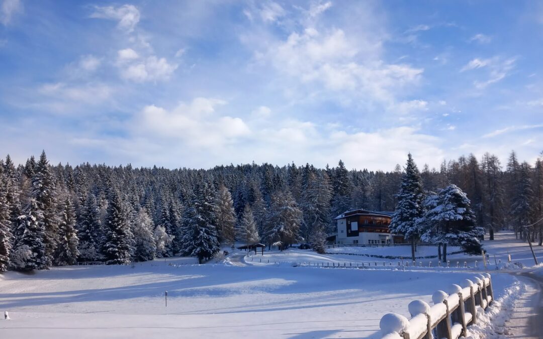 Il tuo rifugio nel bosco, tra mercatini sapori e magia di montagna!