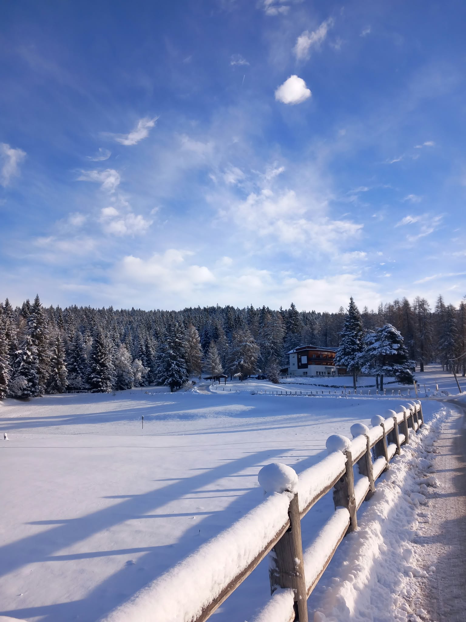 winter